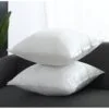 Vacuum Packed Filled Cushions 2 Pieces Set – Soft and Plush Sofa Pillows