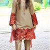 Aisling AS-05 Dhanak 2 Piece Embroidered Winter Dress