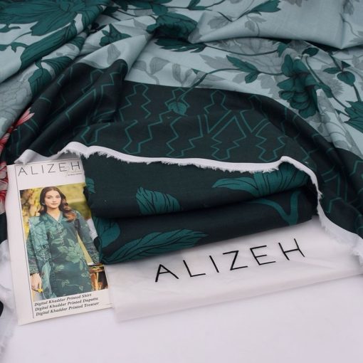The Alizeh AZ-91 embodies the perfect blend of heritage and modern fashion. The intricate detailing on the neckline and the use of coordinated tones create a refined appearance suitable for women of all ages.