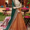 Ayesha Imran AI-625 bridal maxi blush net frock with heavy handwork and sequence embroidery