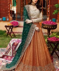 Ayesha Imran AI-625 bridal maxi blush net frock with heavy handwork and sequence embroidery