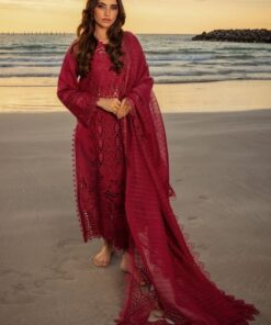 Rang Rasiya RR-718 chickenkari embroidered lawn suit with net dupatta