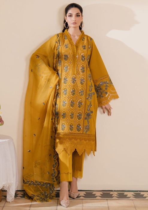 Bin Ilyas BI-714 heavy embroidered chicken kari suit with organza dupatta