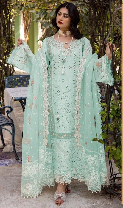 Bin Ilyas BI-765 chikankari embroidered suit with organza dupatta