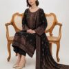 Pakistani Woman wearing Iznik PR-101 Premium Pashmina Jacquard Unstitched Winter Suit